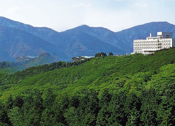 Hoteles en Japón - Palace Hotel Hakone