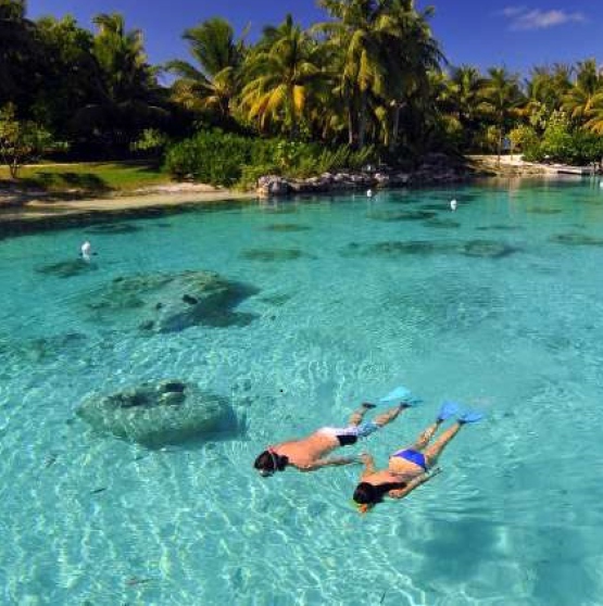 Viajar a Polinesia - SOCIEDAD Y TIKEHAU
